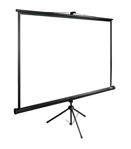 Экран Cactus 165x220 см TriExpert CS-PSTE-220х165-BK 4:3 напольный рулонный