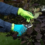 Перчатки садовые Luxe Palisad на липучке, силиконовое нанесение, размер 7, фото4