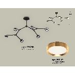 Светильник Ambrella light XB9056152/6 SBK/PYG черный песок/золото желтое полированное GX53 (C9056, N8124), фото4