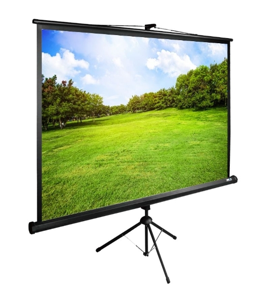 Экран Cactus 150x200 см TriExpert CS-PSTE-200х150-BK 4:3 напольный рулонный