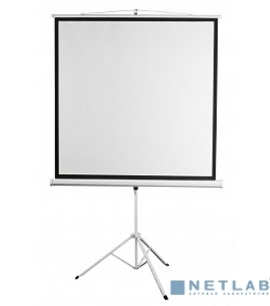 Экран 200x200см Digis Kontur-D DSKD-1106 1:1 напольный рулонный
