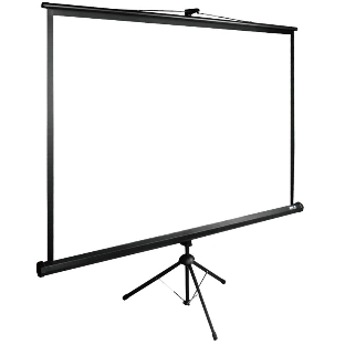 Экран Cactus 160x160 см TriExpert CS-PSTE-160x160-BK 1:1 напольный рулонный