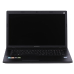 Петли для ноутбука Lenovo IdeaPad G700, G705, G710, фото2