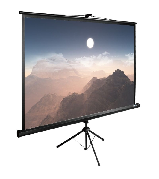 Экран Cactus 180x180 см TriExpert CS-PSTE-180x180-BK 1:1 напольный рулонный