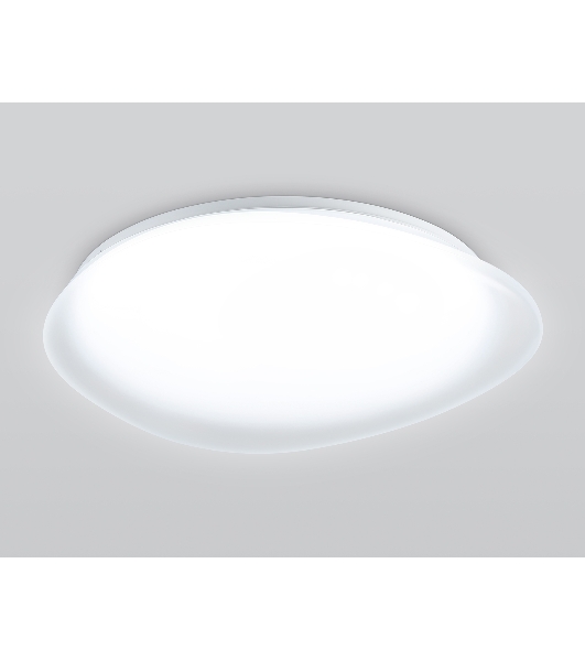 Потолочный светодиодный светильник Ambrella light FZ1605 FR матовый IP20 60W 5000K 510*100 (Без ПДУ)