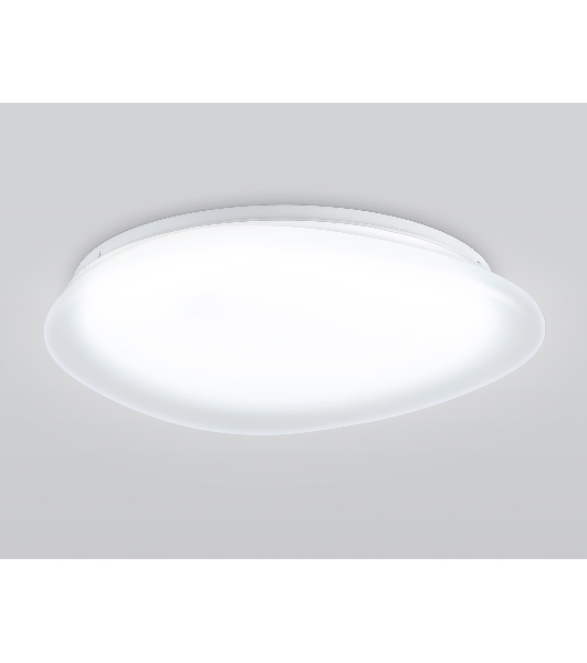 Потолочный светодиодный светильник Ambrella light FZ1605 FR матовый IP20 60W 5000K 510*100 (Без ПДУ)