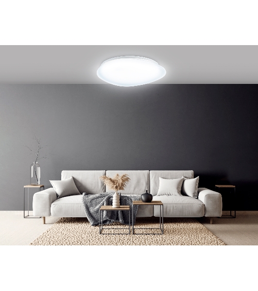 Потолочный светодиодный светильник Ambrella light FZ1605 FR матовый IP20 60W 5000K 510*100 (Без ПДУ)