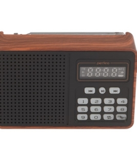 Радиоприемник PERFEO (PF_D0573) ALPINIST, коричневый
