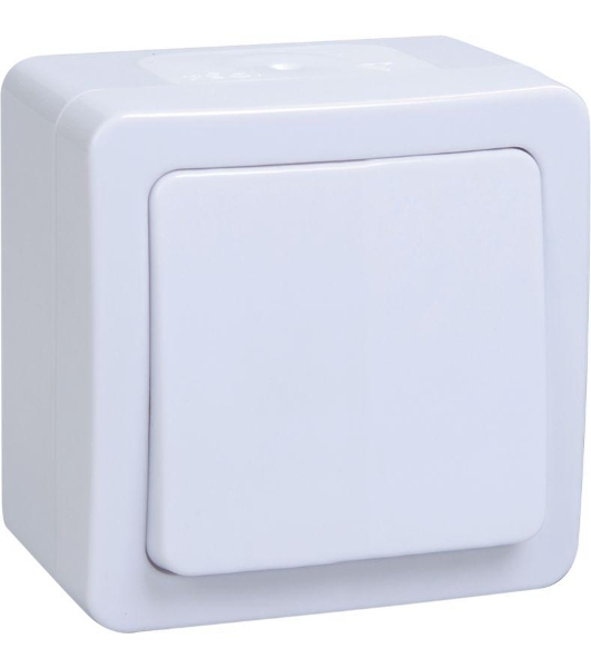 Выключатель IEK EVMP10-K01-10-54-EC ВС20-1-0-ГПБ выкл 1кл о/у IP54 (цвет клавиш: белый) ГЕРМЕС PLUS
