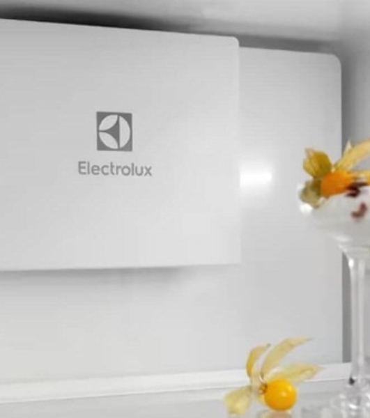 Холодильник Electrolux ENT6ME19S 2-хкамерн.