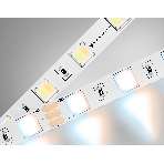 Светодиодная лента Ambrella light GS4101 5050 60Led/ 14W m/ 24V IP20 CCT 3000-6500K/ 5000*10*1.87mm (3 конт.), фото14