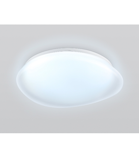 Светодиодный светильник Ambrella light FZ1610 FR матовый IP20 40W 3000-6500K+RGB 410*100 (ПДУ ИК)