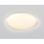 Светодиодный светильник Ambrella light FZ1610 FR матовый IP20 40W 3000-6500K+RGB 410*100 (ПДУ ИК), фото8
