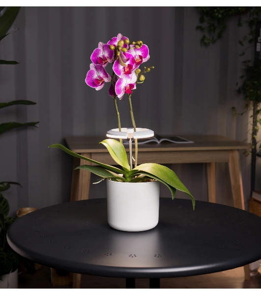 Светильник фито Cactus GARDEN светод. 7.5Вт цв.св.:белый (CS-LED-ORCHID)