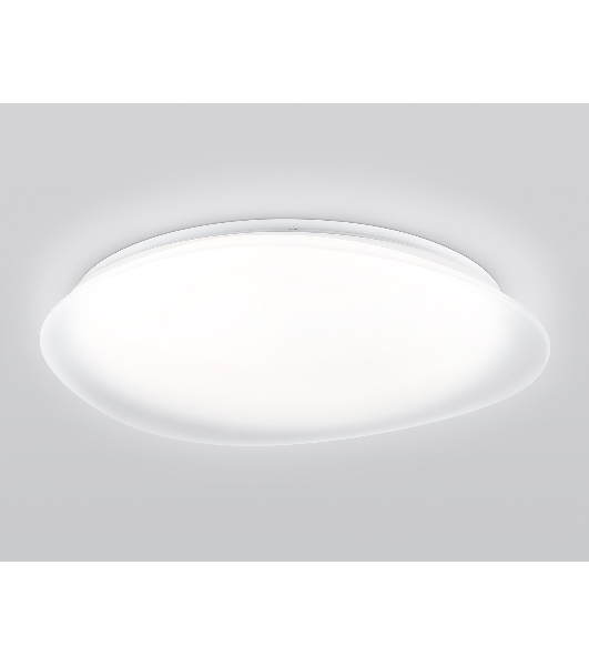 Светодиодный светильник Ambrella light FZ1615 FR матовый IP20 60W 3000-6500K+RGB 510*100 (ПДУ ИК)