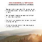 Термос Starwind 10-1000 1 л. серебристый/красный, картонная коробка, фото25