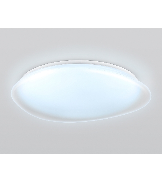Светодиодный светильник Ambrella light FZ1615 FR матовый IP20 60W 3000-6500K+RGB 510*100 (ПДУ ИК)