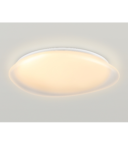 Светодиодный светильник Ambrella light FZ1615 FR матовый IP20 60W 3000-6500K+RGB 510*100 (ПДУ ИК)