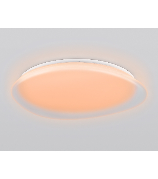 Светодиодный светильник Ambrella light FZ1615 FR матовый IP20 60W 3000-6500K+RGB 510*100 (ПДУ ИК)