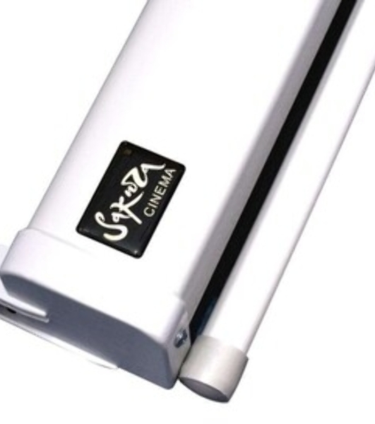Экран Pro 266x150см Motoscreen 16:9 настенно-потолочный рулонный (моторизованный) СЕРЫЙ 120'
