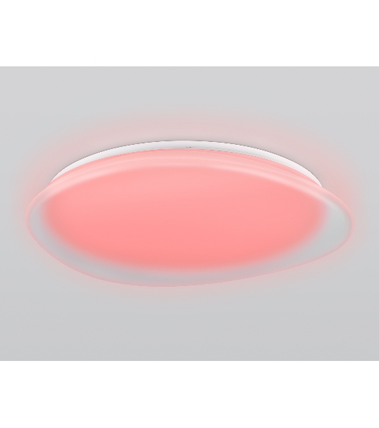 Светодиодный светильник Ambrella light FZ1615 FR матовый IP20 60W 3000-6500K+RGB 510*100 (ПДУ ИК)