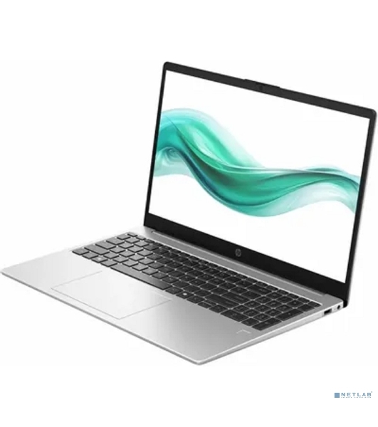 Ноутбук HP 250R G10/15.6'/IPS/Intel Core 3 100U/8Gb/512Gb SSD/Intel Graphics/noOS/серебристый/1.59kg