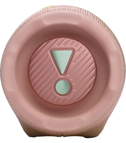 Портативная акустика JBLCHARGE6PINK розовый