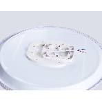 Потолочный светодиодный светильник Ambrella light FZ1710 WH белый IP20 40W 4200K 370*50 (Без ПДУ), фото4