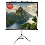 Экран 180x180см TriScreen 1:1 напольный рулонный черный 100', фото 1