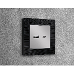 Лицевая панель ALFA (Серебро глянец) для розетки 2USB тип A+C QUANT AP4110, фото2