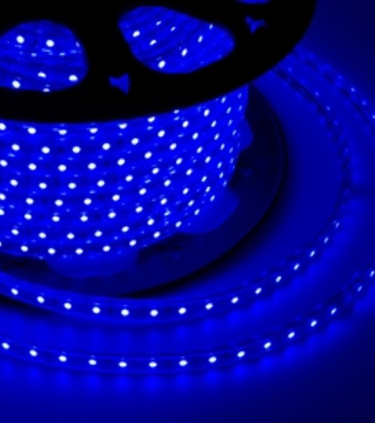 Лента светодиодная Neon-night 220 В, 10х7 мм, IP67, SMD 2835, 60 LED/m, цвет свечения синий, бухта 100 м