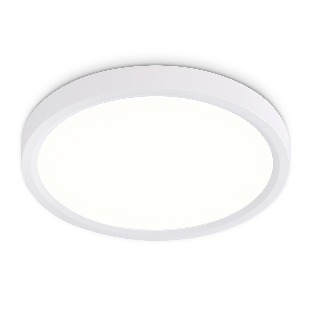 Светильник светодиодный ультратонкий Ambrella light FZ1901 WH белый IP54 13W 3000K-6500K CCT-переключатель D230*25 (Без ПДУ)