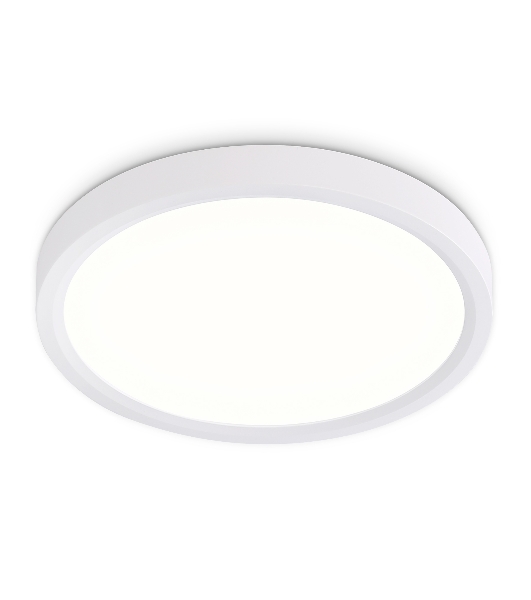 Светильник светодиодный ультратонкий Ambrella light FZ1901 WH белый IP54 13W 3000K-6500K CCT-переключатель D230*25 (Без ПДУ)