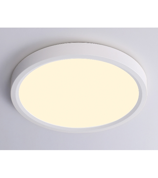 Светильник светодиодный ультратонкий Ambrella light FZ1901 WH белый IP54 13W 3000K-6500K CCT-переключатель D230*25 (Без ПДУ)