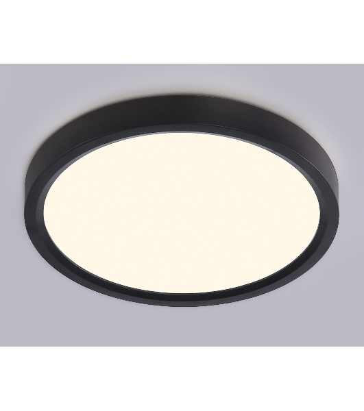 Светильник светодиодный ультратонкий Ambrella light FZ1902 BK черный IP54 13W 3000K-6500K CCT-переключатель D230*25 (Без ПДУ)
