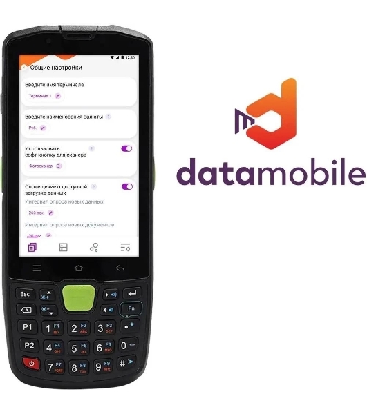Программное обеспечение Неискл. право на исп-ие DataMobile версия Online Lite подписка на 12г (DMONLINELITE12M)