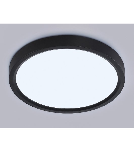 Светильник светодиодный ультратонкий Ambrella light FZ1902 BK черный IP54 13W 3000K-6500K CCT-переключатель D230*25 (Без ПДУ)