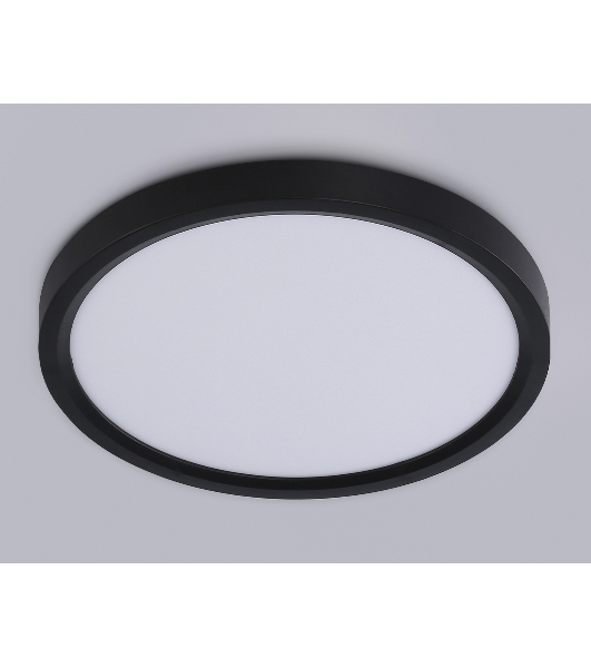 Светильник светодиодный ультратонкий Ambrella light FZ1902 BK черный IP54 13W 3000K-6500K CCT-переключатель D230*25 (Без ПДУ)