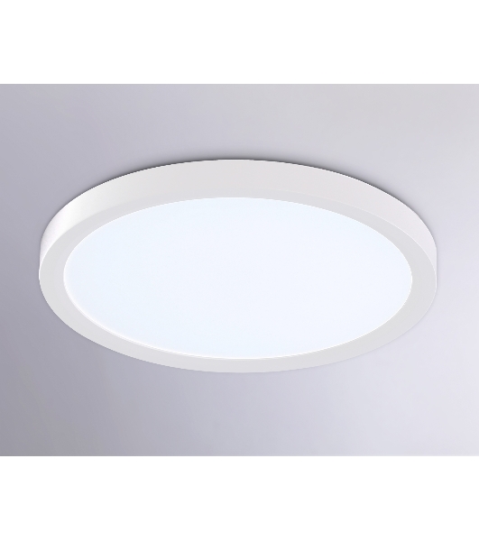 Светильник светодиодный ультратонкий Ambrella light FZ1903 WH белый IP54 20W 3000K-6500K CCT-переключатель D300*25 (Без ПДУ)