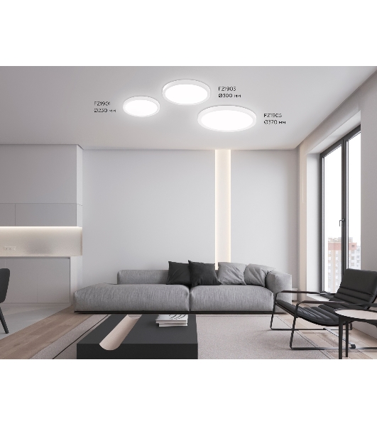 Светильник светодиодный ультратонкий Ambrella light FZ1903 WH белый IP54 20W 3000K-6500K CCT-переключатель D300*25 (Без ПДУ)