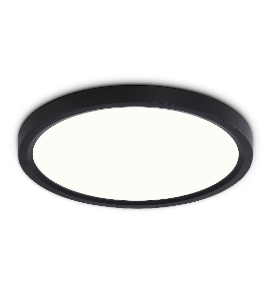 Светильник светодиодный ультратонкий Ambrella light FZ1904 BK черный IP54 20W 3000K-6500K CCT-переключатель D300*25 (Без ПДУ)