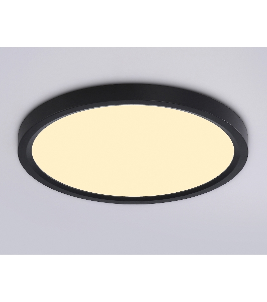 Светильник светодиодный ультратонкий Ambrella light FZ1904 BK черный IP54 20W 3000K-6500K CCT-переключатель D300*25 (Без ПДУ)