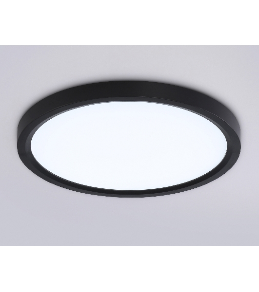 Светильник светодиодный ультратонкий Ambrella light FZ1904 BK черный IP54 20W 3000K-6500K CCT-переключатель D300*25 (Без ПДУ)