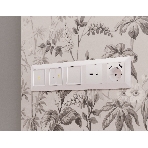 Комплект механизма электрической розетки ALFA Жемчуг 2USB A+A 18W (быстрая зарядка) с/з QUANT (AP2090, VM155) MA209010, фото4
