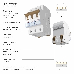 Автоматический выключатель Werkel 3P  50 A  C  4,5 кА W903P504, фото 1