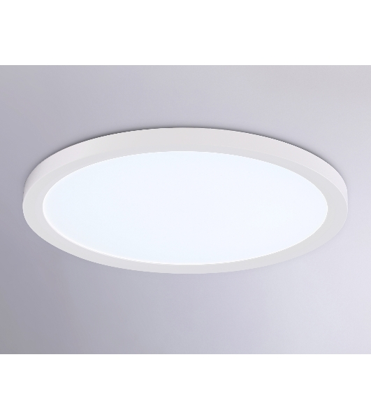 Светильник светодиодный ультратонкий Ambrella light FZ1905 WH белый IP54 26W 3000K-6500K CCT-переключатель D370*25 (Без ПДУ)
