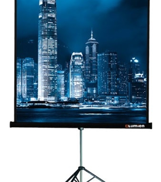 Экран на штативе Lumien Master View 244x244 см Matte White FiberGlass (LMV-100105)