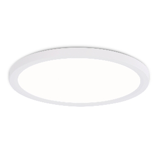 Светильник светодиодный ультратонкий Ambrella light FZ1907 WH белый IP54 35W 3000K-6500K CCT-переключатель D450*25 (Без ПДУ)