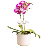 Светильник фито Cactus GARDEN светод. 7.5Вт цв.св.:белый (CS-LED-ORCHID), фото 1
