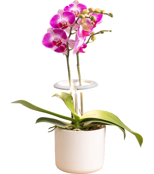 Светильник фито Cactus GARDEN светод. 7.5Вт цв.св.:белый (CS-LED-ORCHID)